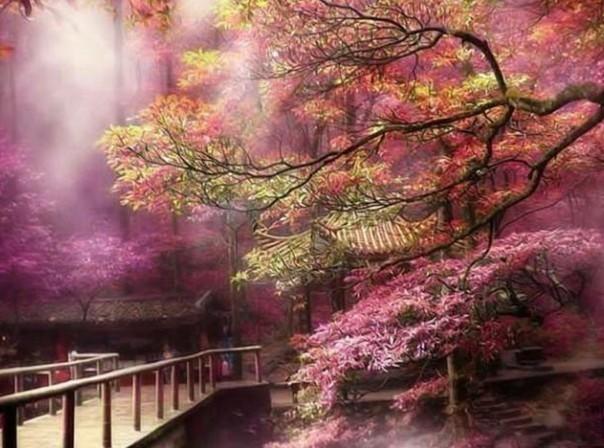 拯救巧虎3